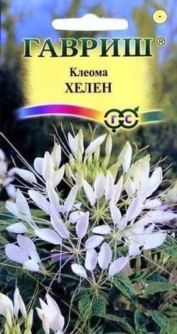 Лот: 11025123. Фото: 1. Клеома Хелен Н9 0,3г. Садовые цветы
