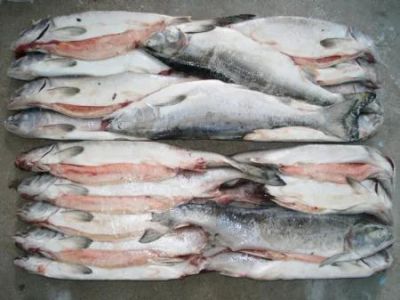 Лот: 6379370. Фото: 1. Рыба горбуша потрошеная с головой. Икра, рыба, морепродукты