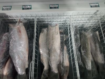 Лот: 24846483. Фото: 1. Рыба свежемороженая. Икра, рыба, морепродукты