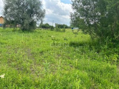 Лот: 25295603. Фото: 1. участок , село Есаулово село Есаулово... Земельные участки