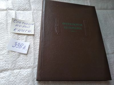 Лот: 19434105. Фото: 1. Кулешов В.И. Физиология Петербурга... Художественная