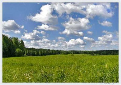Лот: 5748094. Фото: 1. Участок в пос. Логовой. Земельные участки