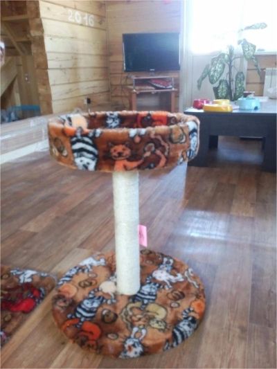Лот: 9311637. Фото: 1. когтеточка. Домики, переноски, клетки, когтеточки
