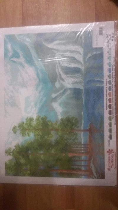 Лот: 6744161. Фото: 1. рисунок на канве. 33*45. Вышивание