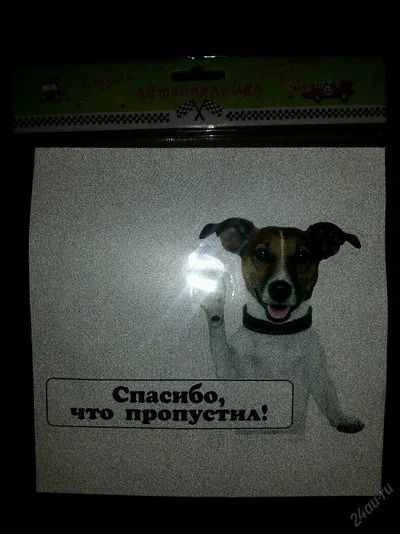Лот: 5548067. Фото: 1. Автонаклейка "Спасибо, что пропустил... Наклейки автомобильные