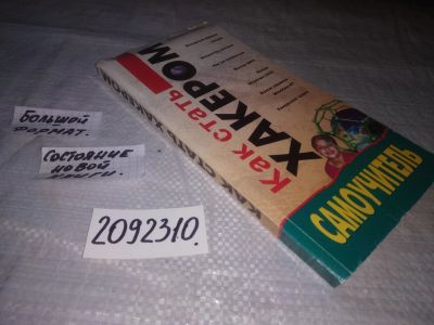 Лот: 21258371. Фото: 1. oz ....(2092310) Левин, Максим... Компьютеры, интернет