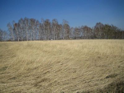 Лот: 4108400. Фото: 1. Участок "Нанжуль-1". Земельные участки