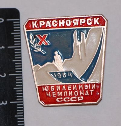 Лот: 10116361. Фото: 1. Знак: 10-й юбилейный чемпионат... Сувенирные