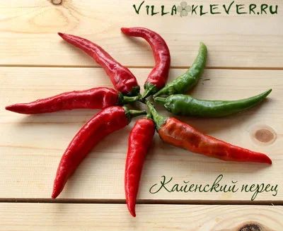 Лот: 9696720. Фото: 1. Рассада перец острый Кайенский... Овощи