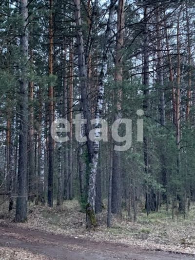 Лот: 25288387. Фото: 1. участок , село Овсянка село Овсянка... Земельные участки