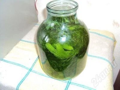 Лот: 266817. Фото: 1. Много роголистника (5 л.). Водные растения