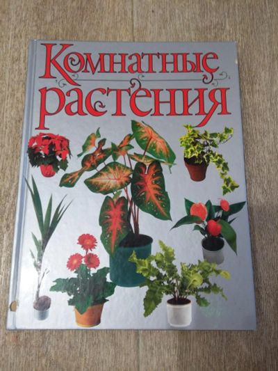 Лот: 8790398. Фото: 1. Книга Комнатные растения. Сад, огород, цветы