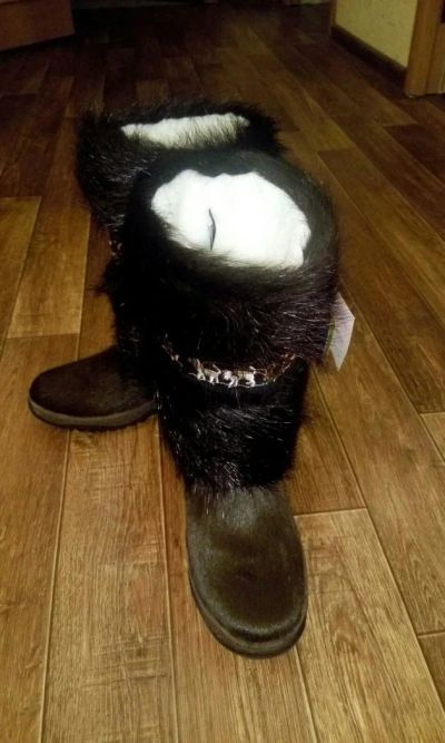 Лот: 6137427. Фото: 1. Унты Moregor НОВЫЕ, р 39. Угги, унты, валенки