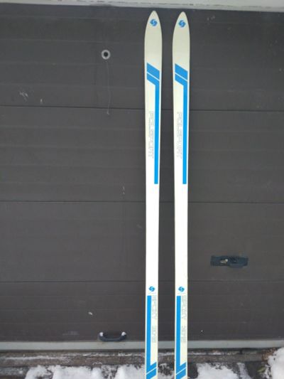 Лот: 15179945. Фото: 1. Лыжи горные Polsport Epoxy. Лыжи