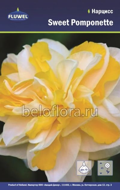 Лот: 6195769. Фото: 1. Нарцисс Sweet Pomponette. Луковица. Другое (семена, рассада, садовые растения)
