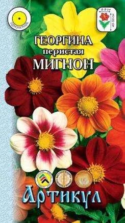 Лот: 11024755. Фото: 1. Георгина Мигнон 0,3гр. Садовые цветы