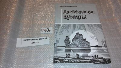 Лот: 7832387. Фото: 1. оз....(16..011) Дрейфующие кумиры... Художественная