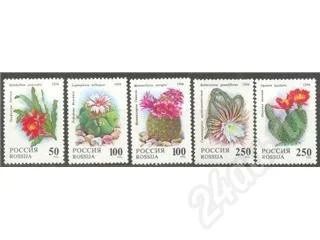 Лот: 309397. Фото: 1. 1994 (144-148) кактусы. Марки