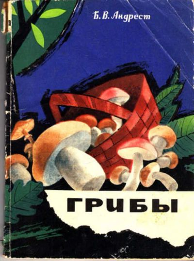 Лот: 12304421. Фото: 1. Грибы (лот №324870). Сад, огород, цветы