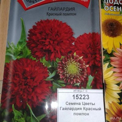 Лот: 9118544. Фото: 1. Семена / Цветы / Гайлардия / Красный... Садовые цветы