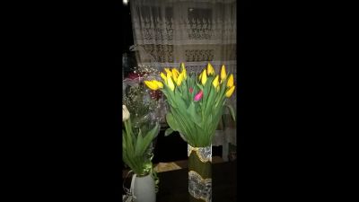 Лот: 7063139. Фото: 1. тюльпаны. Другое (растения и животные)