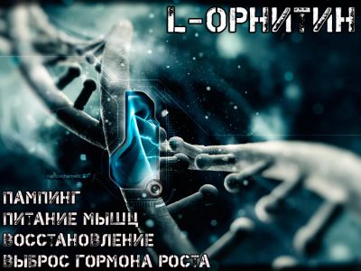 Лот: 2112250. Фото: 1. Орнитин на развес WIRUD (Германия... Спортивное питание, витамины