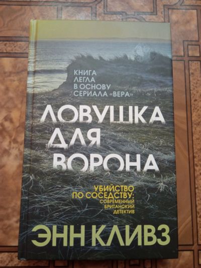 Лот: 18919247. Фото: 1. Книга " Ловушка для ворона". Художественная