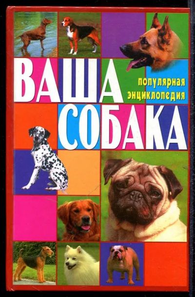 Лот: 23432846. Фото: 1. Ваша собака. Все о собаке. Домашние животные