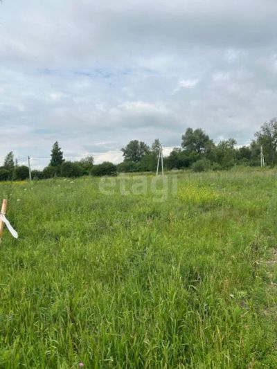 Лот: 25295615. Фото: 1. участок , село Есаулово село Есаулово... Земельные участки
