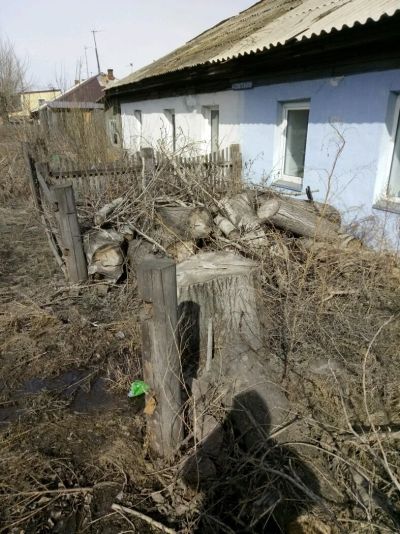 Лот: 11298613. Фото: 1. Дрова даром. Другие (дрова, топливо)