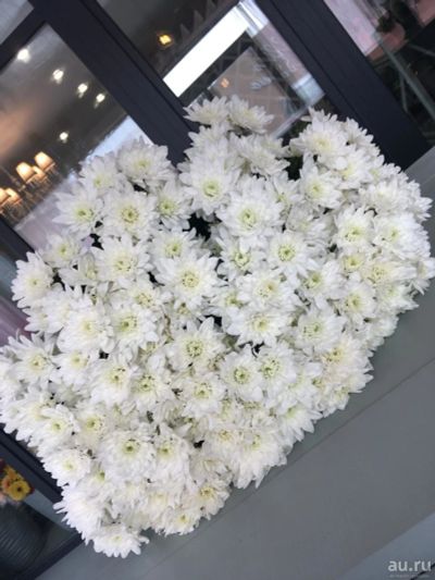 Лот: 13764310. Фото: 1. букет Хризантемы. Свежие цветы