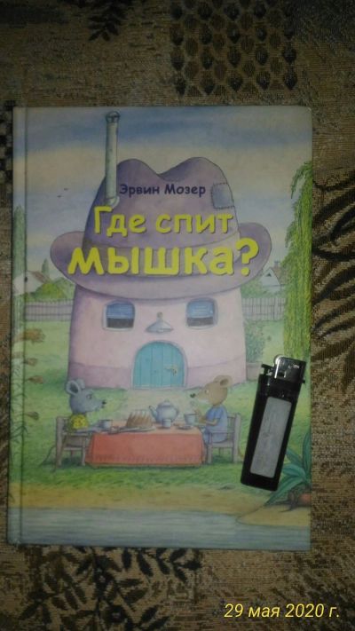 Лот: 16060571. Фото: 1. Книга где спит мышка?. Книги