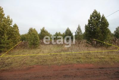 Лот: 25297997. Фото: 1. участок , деревня Мужичкино Дивная... Земельные участки