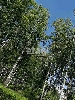 Лот: 25296925. Фото: 1. участок , деревня Раскаты деревня... Земельные участки
