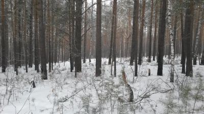 Лот: 13781323. Фото: 1. Продается земельный участок 10... Земельные участки