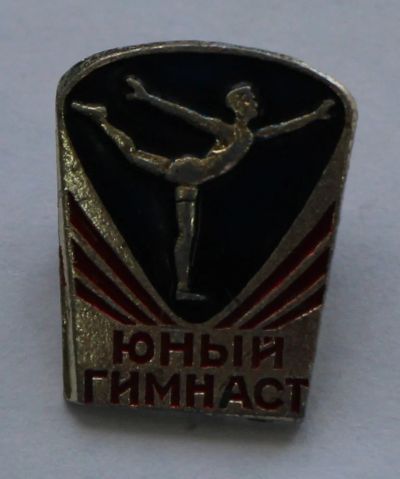 Лот: 8052448. Фото: 1. Знак юный гимнаст. (пл. спорт). Сувенирные
