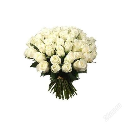 Лот: 6357459. Фото: 1. Шикарный Букет 51 роза 50 см. Свежие цветы