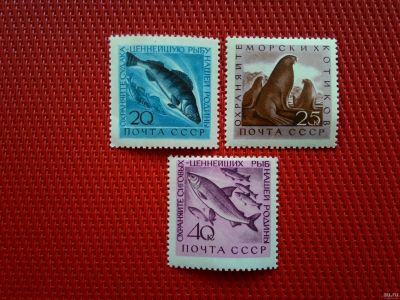 Лот: 13846761. Фото: 1. 1960, сентябрь. Морская фауна... Марки