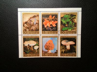 Лот: 11892832. Фото: 1. 1986. Северная Корея. Грибы. Сцепка... Марки