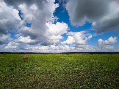 Лот: 25325140. Фото: 1. участок , село Шила село Шила... Земельные участки