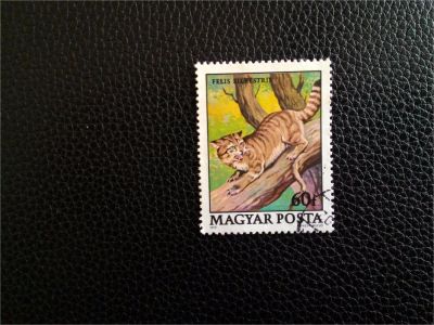 Лот: 9087324. Фото: 1. Венгрия 7. Марки