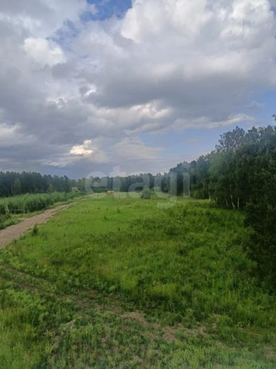Лот: 25589061. Фото: 1. участок , СНТ Рублёвка Смоленская... Земельные участки