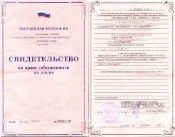 Лот: 6214757. Фото: 1. Куплю Свидетельство на земельный... Земельные участки