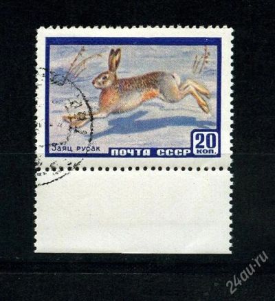 Лот: 1367863. Фото: 1. 1960 (2318) фауна заяц. Марки
