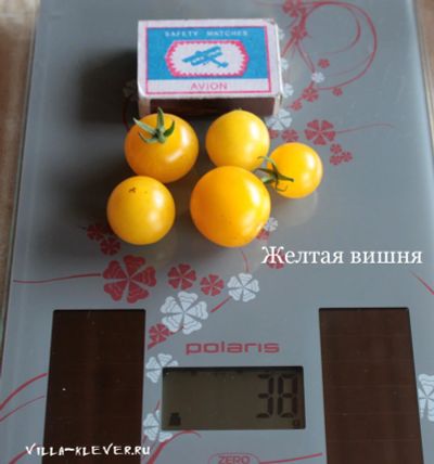 Лот: 9700723. Фото: 1. Рассада черри-томат Желтая Вишня... Овощи