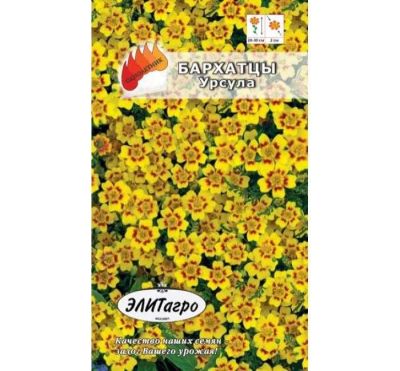 Лот: 11024225. Фото: 1. Бархатцы Урсула тонколистные 0... Садовые цветы