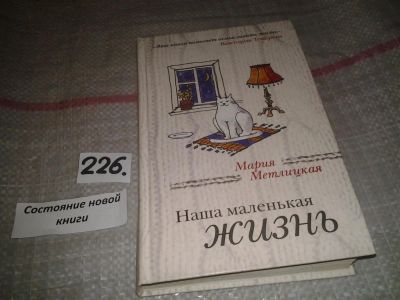 Лот: 6989462. Фото: 1. Наша маленькая жизнь, М.Метлицкая... Художественная