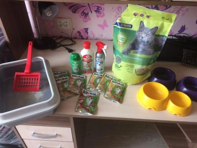Лот: 10404801. Фото: 1. Всё для кошек, одним лотом. Другое (животные и уход)