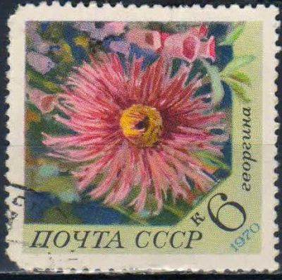 Лот: 25543137. Фото: 1. 1970, ноябрь. Цветы. н.с. № 3944. Марки