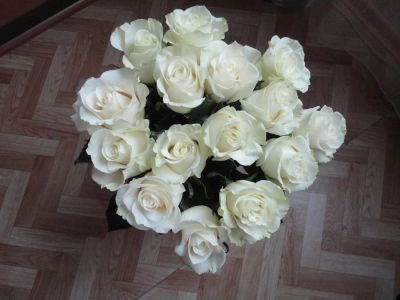 Лот: 3615709. Фото: 1. Шикарный букет из 15 роз около... Другое (семена, рассада, садовые растения)